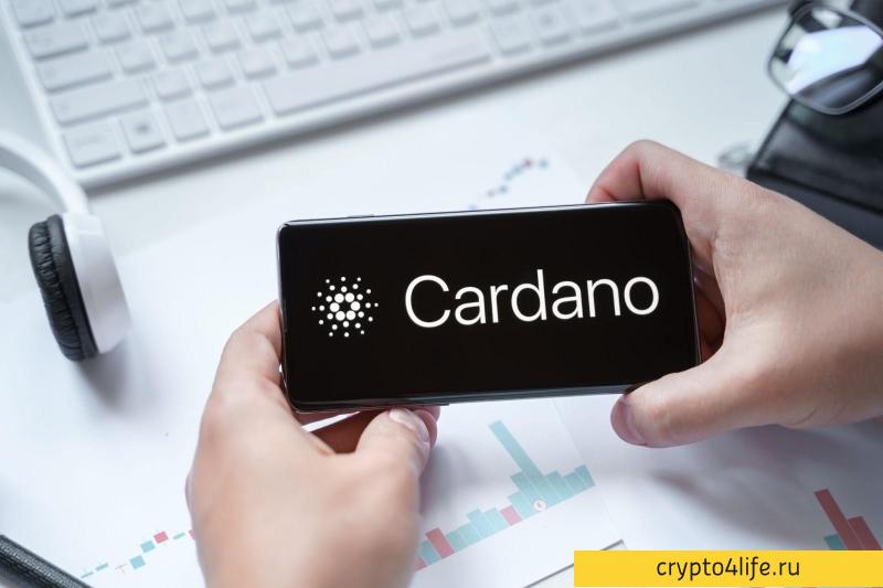 Как купить Cardano в 2022 году: пошаговая инструкция