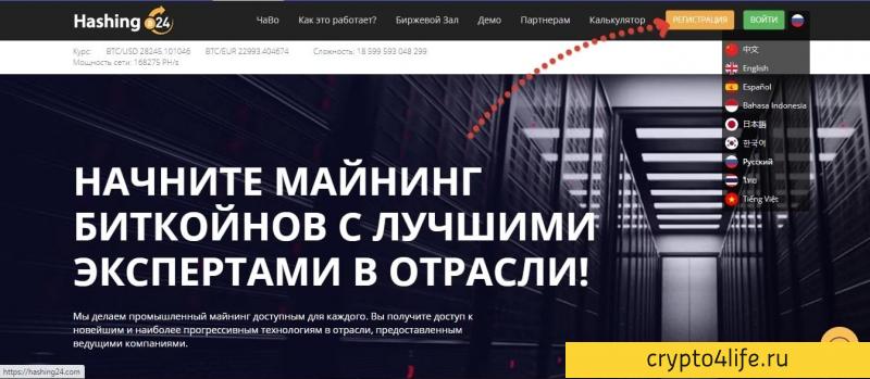 Облачный майнинг Hashing24 в 2022 году: обзор, прибыльность, обзоры