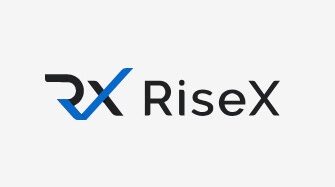 Обменник RiseX: обзор, инструкция, комиссии -