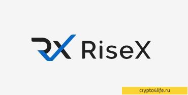 Обменник RiseX: обзор, инструкция, комиссии -