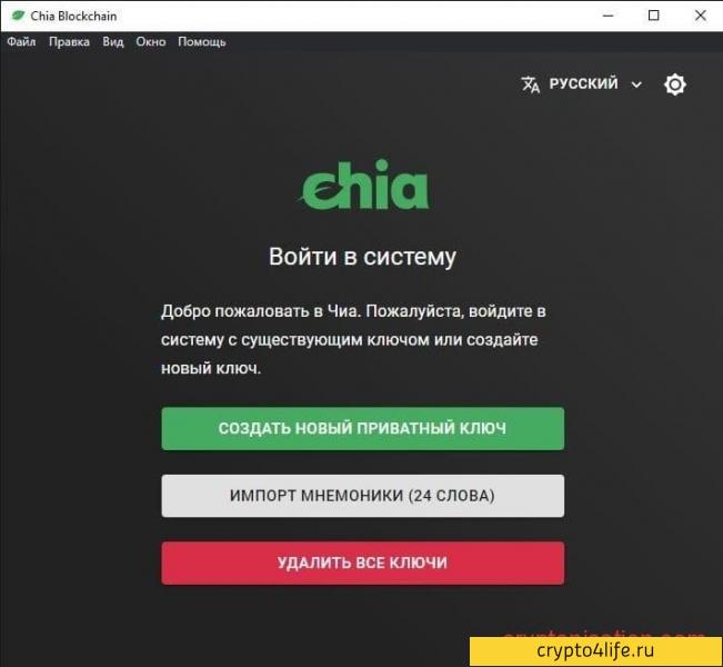 Обзор криптовалюты Chia Coin (XCH) в 2022 году: история и характеристики сети Chia