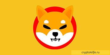 Обзор криптовалюты Shiba Inu (SHIB) в 2022 году: история и перспективы Shiba Token -