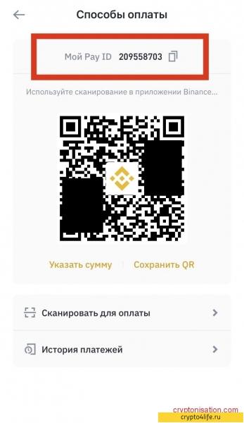 Обзор платежей Binance 2022