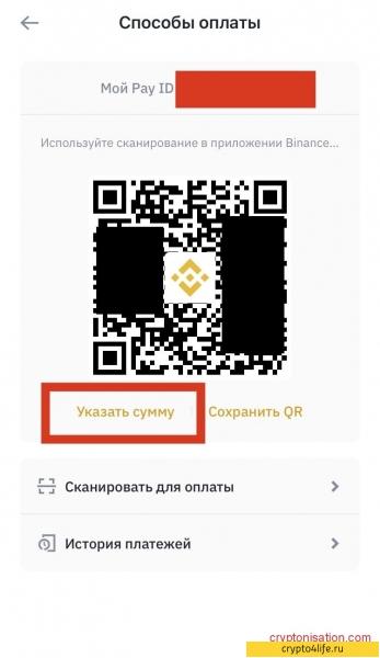 Обзор платежей Binance 2022