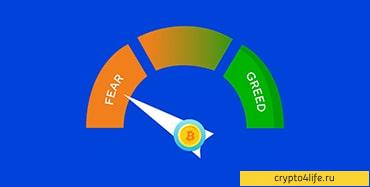 Что такое индекс страха и жадности Биткоина -